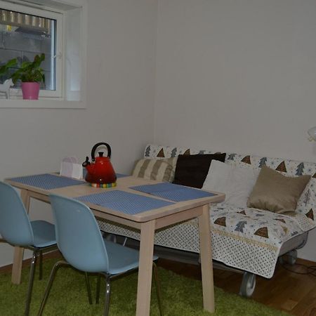 Totally Independent Apartment Near Ntnu,Lerkendal And Center 트론헤임 외부 사진